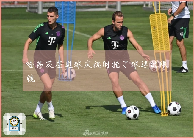 哈弗茨在进球庆祝时抢了球迷的眼镜