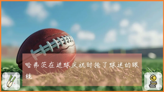 哈弗茨在进球庆祝时抢了球迷的眼镜